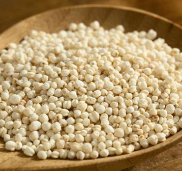 Quinoa: súper alimento de los andes